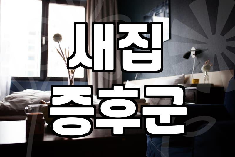 새집 입주청소 비용, 얼마면 만족할까?