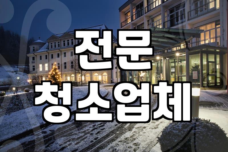 집 이사 후 ‘어머니회’ 청소, 정말 괜찮을까?