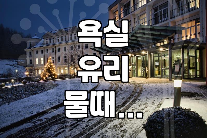 욕실 유리 물때랑 씨름하다 그냥 놔두기로 했다