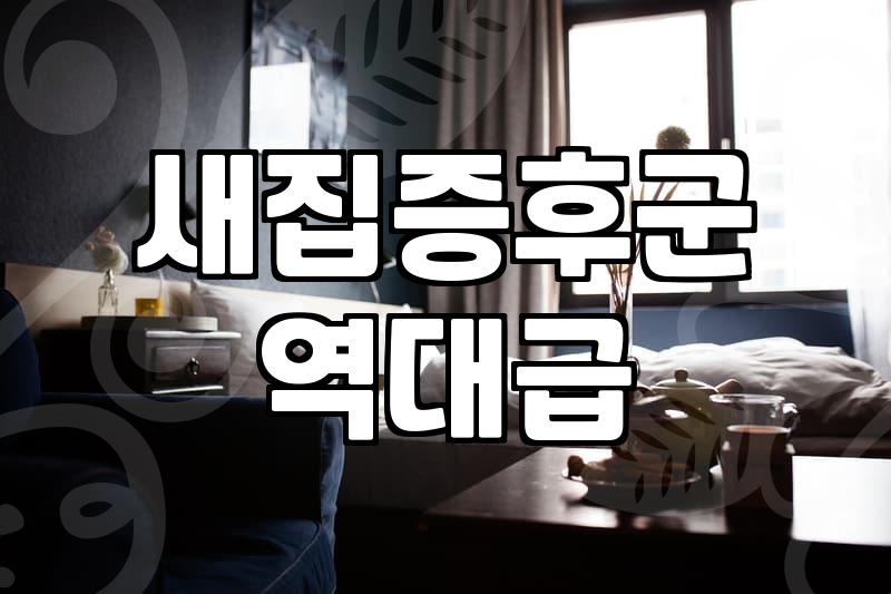 남양주입주청소, 제대로 해야 후회 안 해요