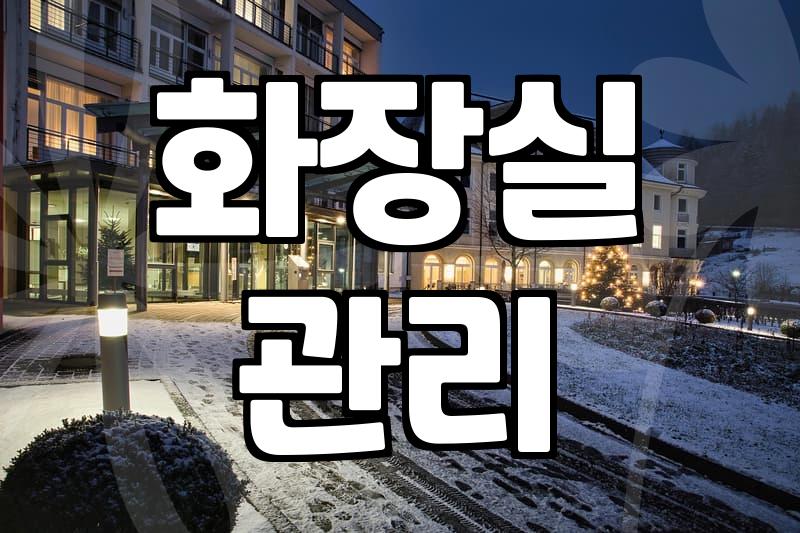 화장실 청소, 돈 들일지 직접 할지 고민되는 당신에게