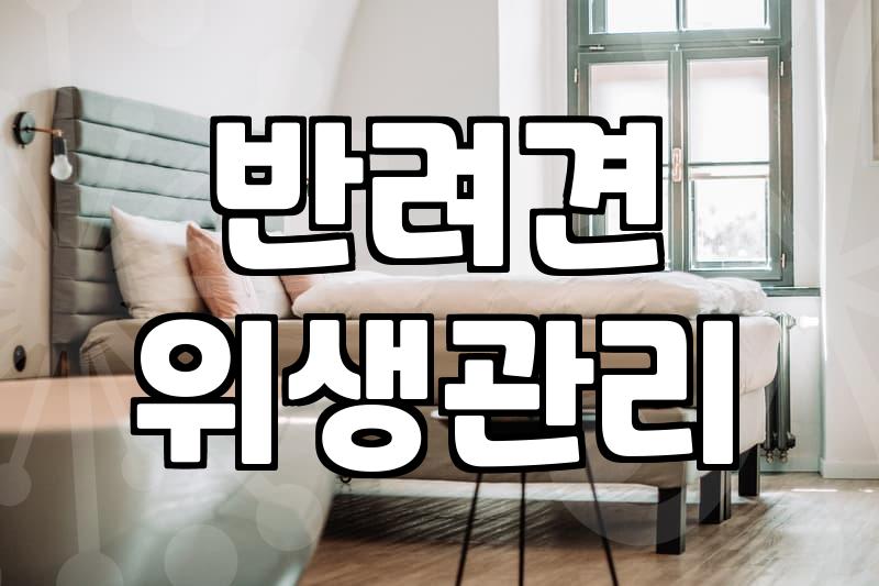 반려견 냄새, 전문가 아니어도 집에서 잡는 법