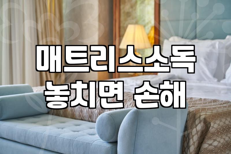 매트리스 소독과 청소, 광고만큼 드라마틱할까? 현실적인 고민