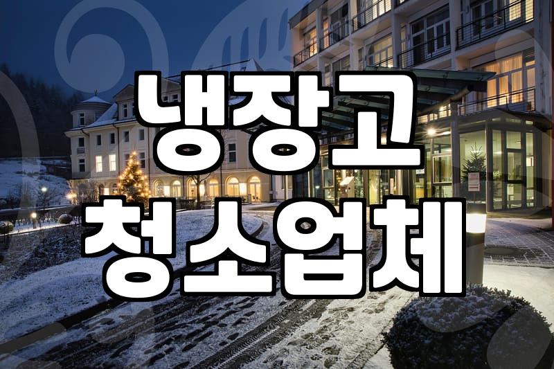 냉장고 청소업체 부를까, 셀프로 할까? 30대의 현실적인 고민