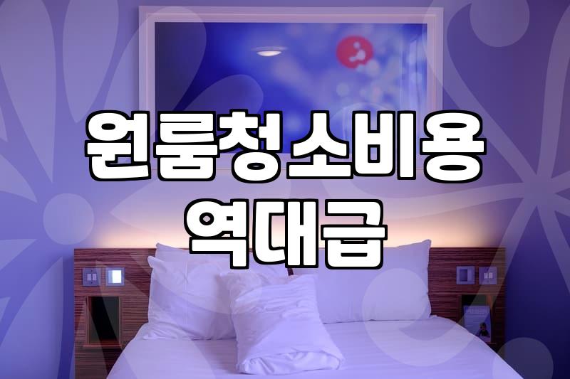 투룸 입주 청소를 고민할 때 따져봐야 할 현실적인 부분들
