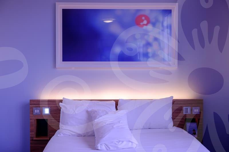 벼룩퇴치를 위한 집 관리 팁과 해충 방지 핵심 비법