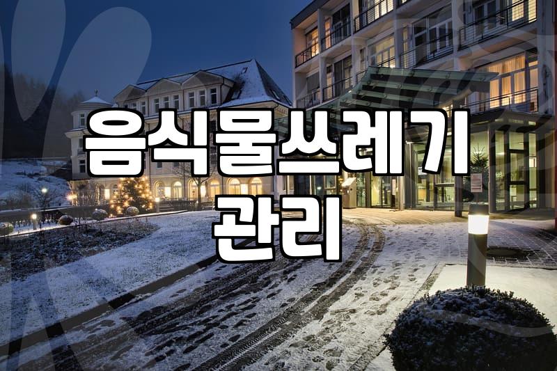 집에서 음식물 쓰레기 냄새와 벌레를 줄이는 현실적인 방법