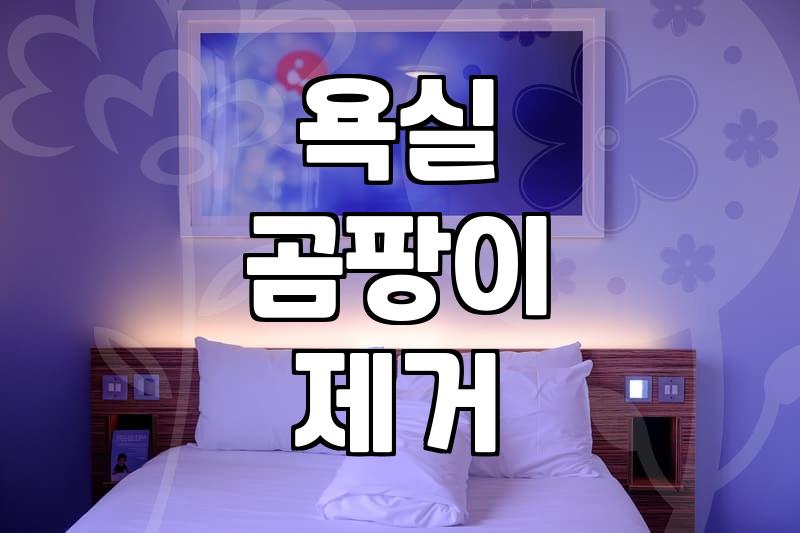 화장실 청소업체, 부르는 게 답일까? 30대 직장인의 현실적인 고민