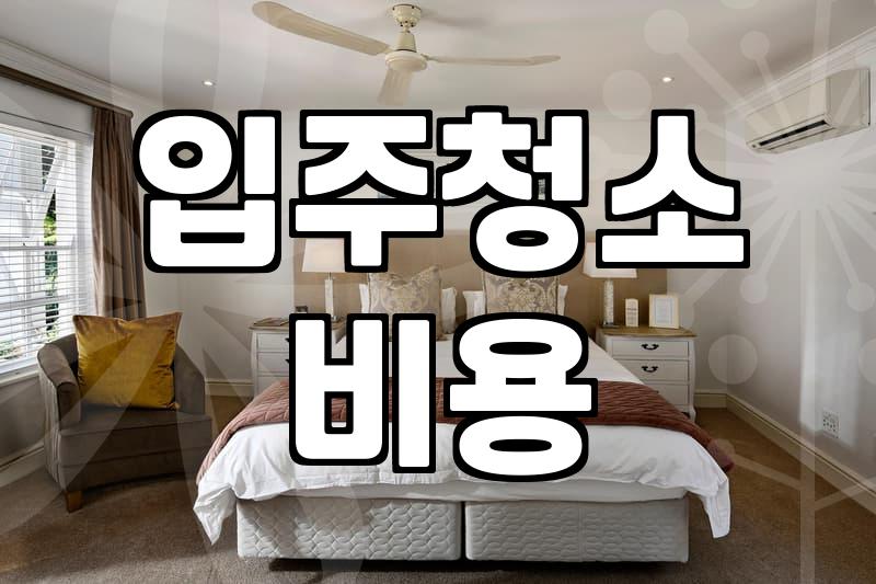 결국 청소 업체를 부르기로 마음먹기까지