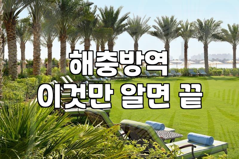 돈벌레를 보고 결국 방역 업체를 부르기로 마음먹기까지