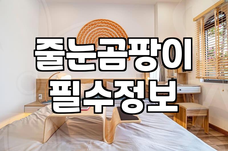 우리 집 화장실, 그냥 두면 위험한 이유