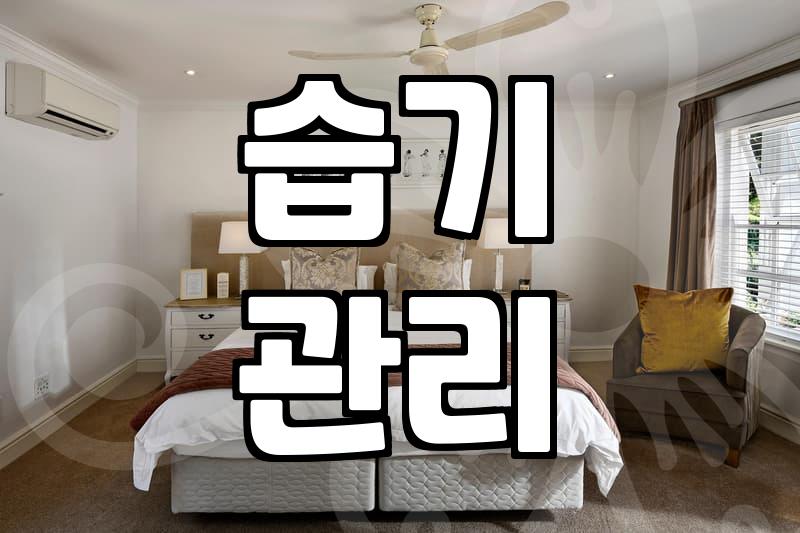 집에 노래기 보이면 어떻게 해야 할까? 확실한 퇴치법