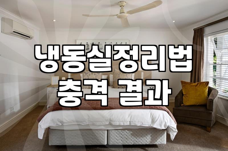 냉동실 정리, 솔직히 업체 부르기 전 고려해야 할 현실적인 문제들