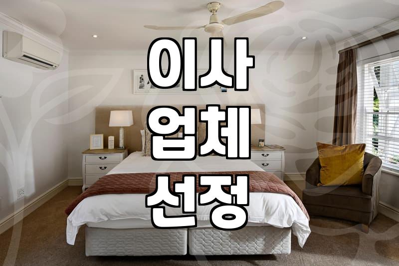 이사 준비, 은근히 신경 쓰이는 것들: 이삿날 잡기부터 짐 싸기까지