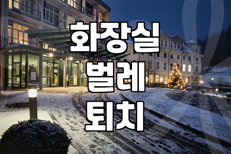 화장실에서 이상한 벌레가 나와서 고민하던 날