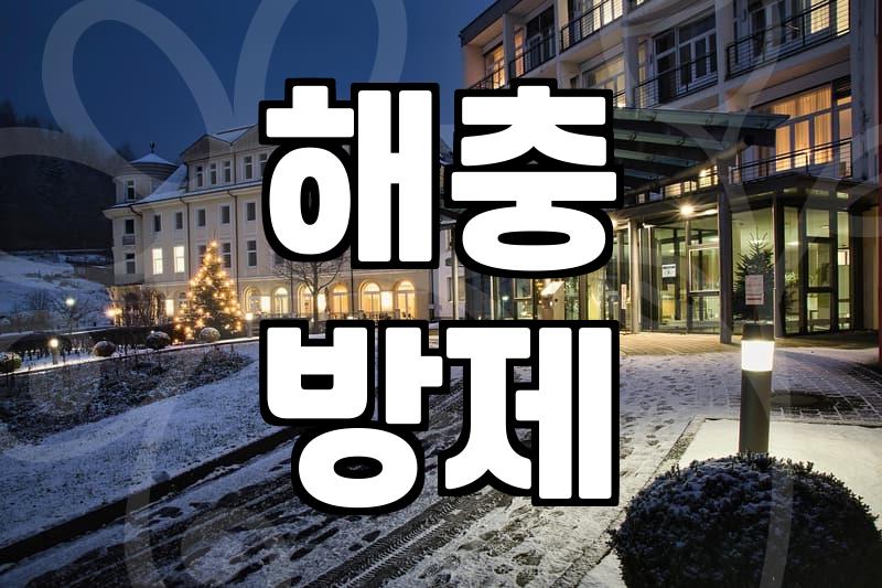 우리집 방역업체, 제대로 알아보고 선택하는 법
