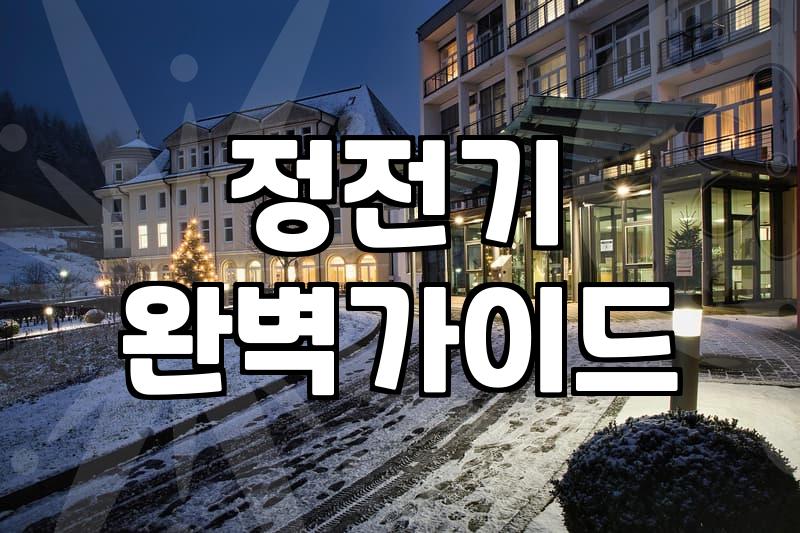 고양이 털, 입주청소 시 깔끔하게 제거하는 법