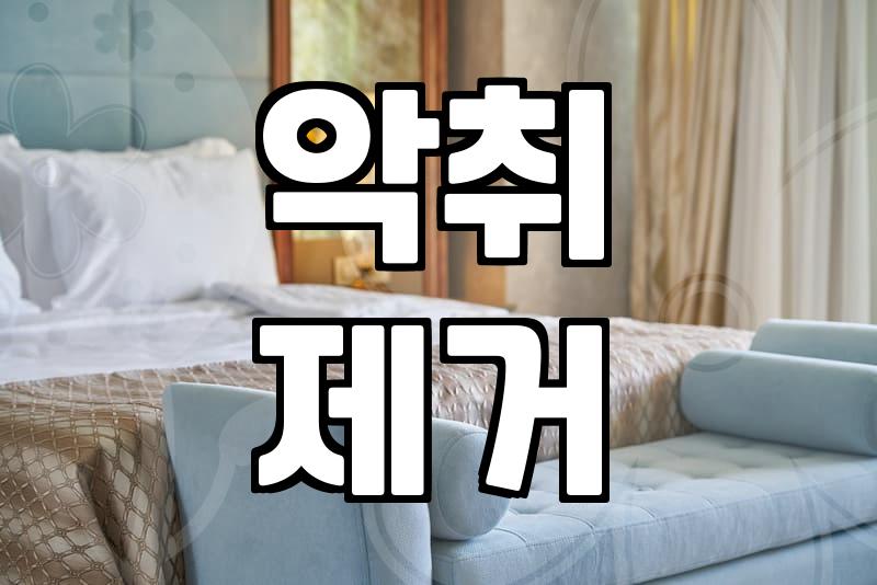 특수청소바름, 묵은 얼룩과 악취 완벽 제거 비결은