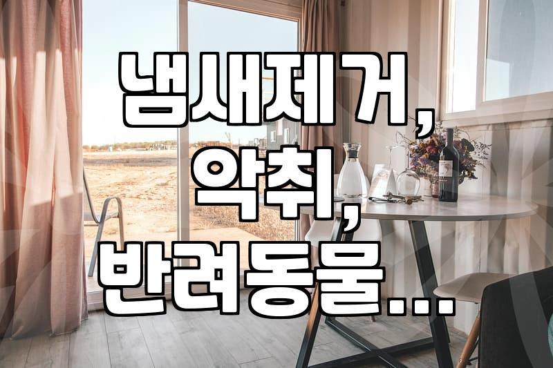 집안 곳곳 악취, 어떻게 해결해야 할까? 냄새 제거 업체 이용 후기