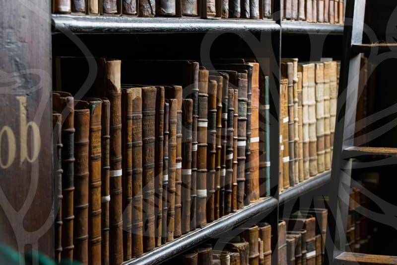 파산면책의 현실과 개인회생 사이의 전략적 선택