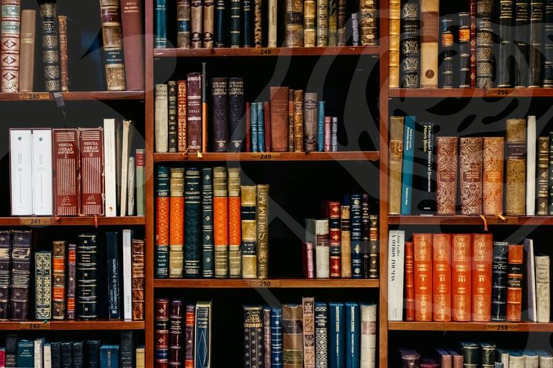 파산면책의 조건과 절차를 이해하고 재도약의 길 찾기