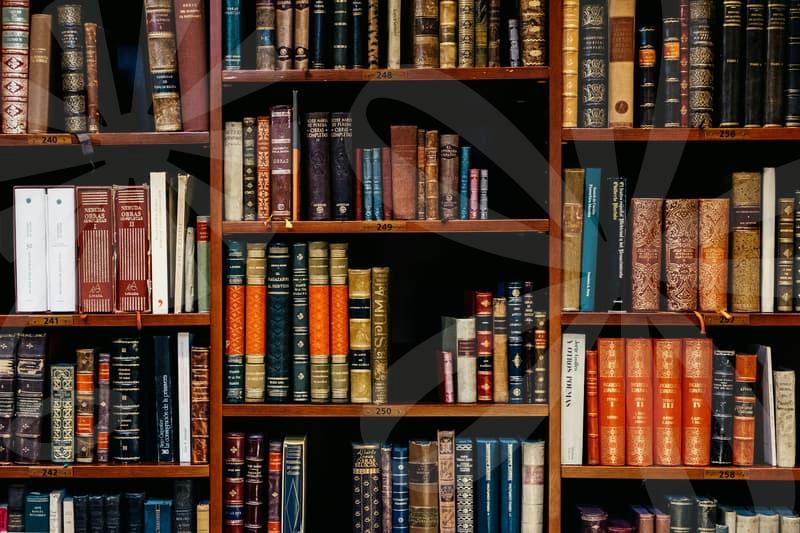 신용회복을 위한 실전 전략과 회생의 길 현재와 미래