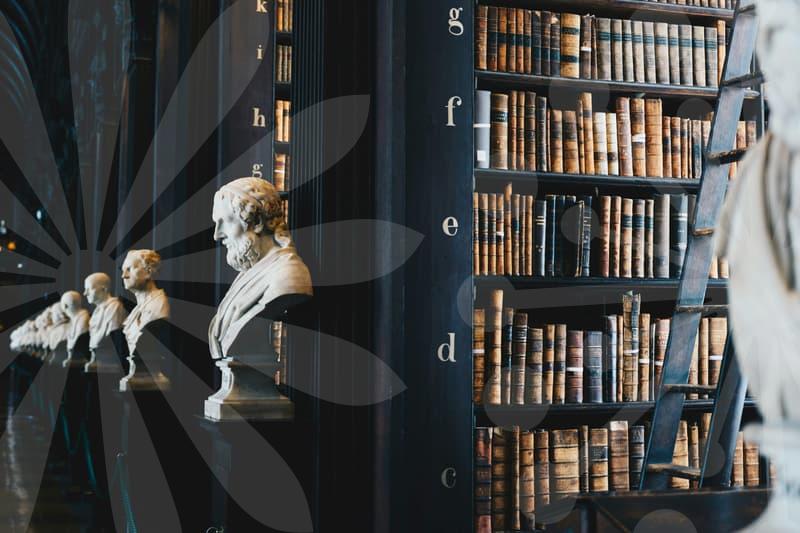 회생절차의 핵심 단계와 실전 가이드 위험 신호와 대비책