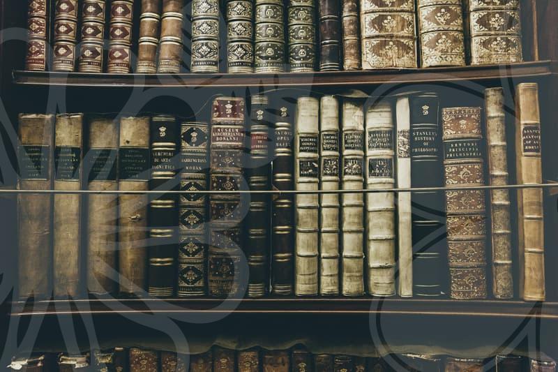 법인사업자폐업 실무와 개인회생 연계 전략