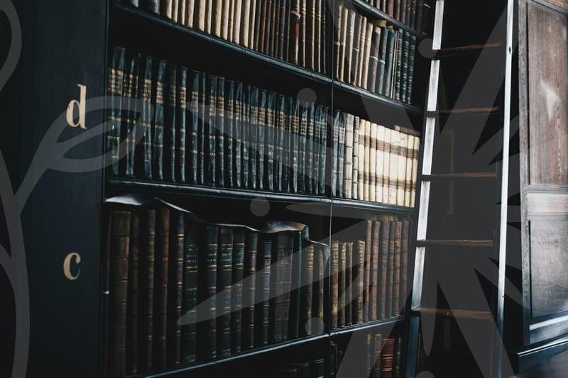 개인파산의 실제와 가이드로 채무를 다시 설계하는 길