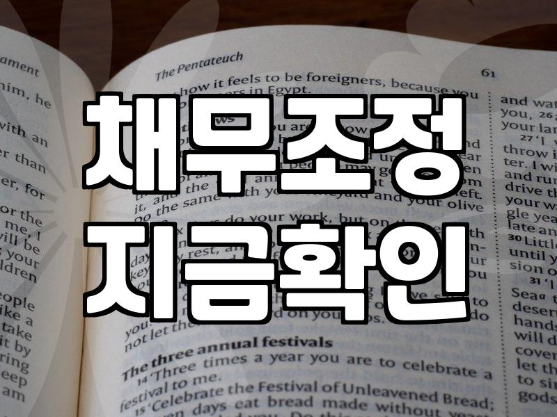 개인회생, 남들이 말해주지 않는 현실적인 고민들