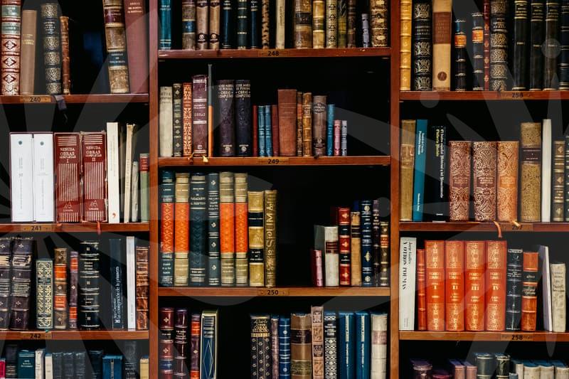 신용회복과개인회생차이 이해하기와 현명한 선택