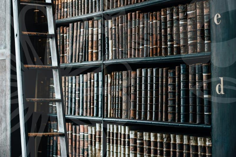 신용불량자에서 찾는 재기 방향과 안전장치들로 시작하기