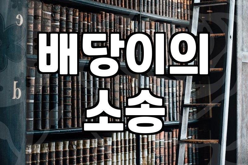 부동산 경매 배당 절차와 이의 제기 시 주의할 점