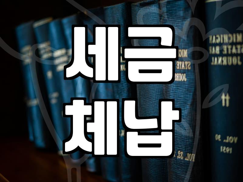 개인회생으로 국세 체납 문제 해결 가능할까