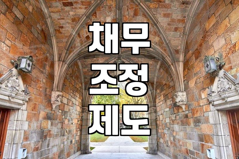 금융문제 해결을 위해 개인회생 제도가 갖는 실질적인 효력