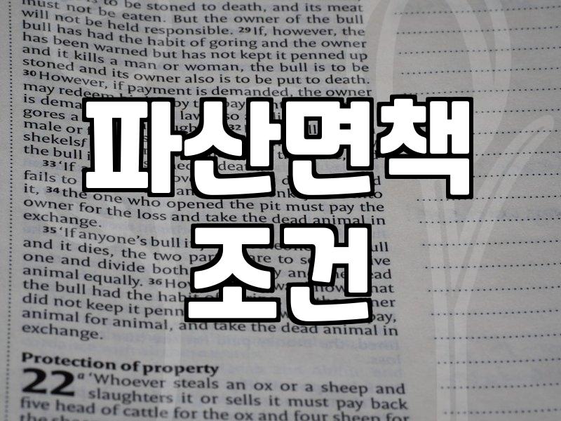 기초생활수급자 파산, 지방세 체납… 현실적인 회생 절차 이야기