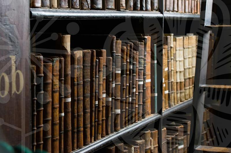 파산회생의 핵심 절차와 신용회복 전략 알아보기