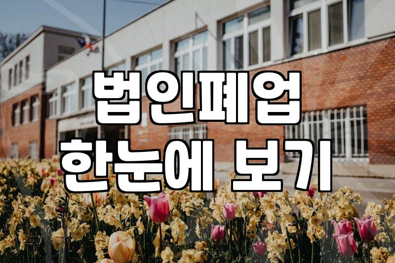 법인 폐업과 개인회생 사이, 30대 실무자의 솔직한 고민