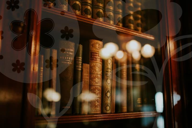 구상금청구소송의 실무와 준비 과정과 주의점과 필수 팁