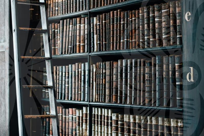 법인청산비용의 실제 구조와 비용 산정 요령과 방법