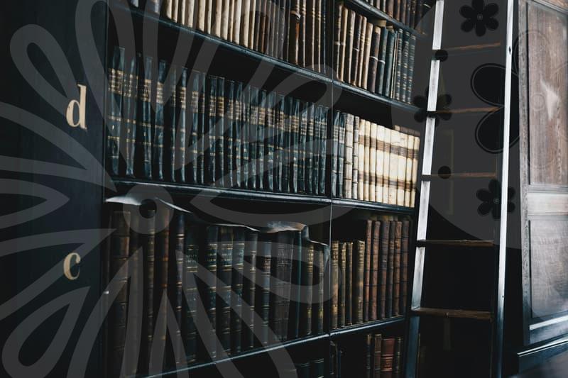 개인워크아웃으로 재기를 모색하는 길과 개인회생의 관계