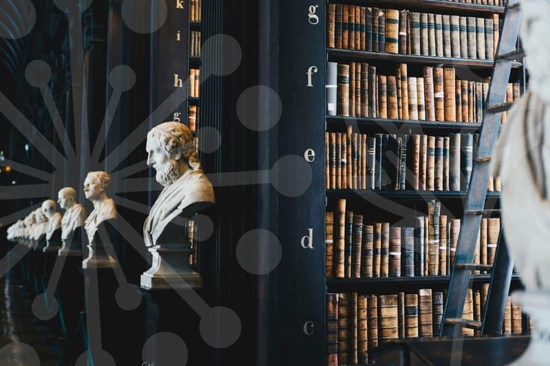 채무조정의 핵심 원리와 실무 적용 흐름을 이해하기 쉽게 연결