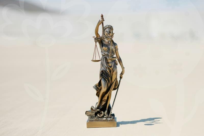 파산신청기간의 핵심 포인트와 준비 방법과 주의점