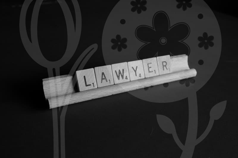 개인회생의 실제 절차와 신용회복 전략 확인