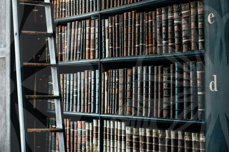 주택임대차계약과 개인회생 실무의 핵심 포인트 정리