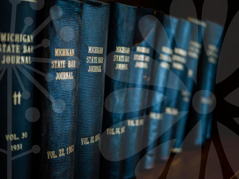 개인회생일시변제 신청에서인가까지의 핵심 흐름