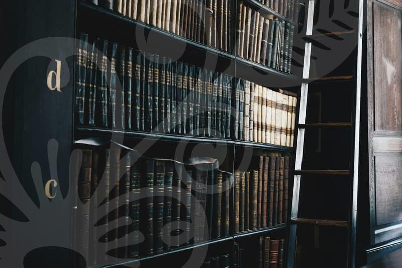 신용회복의 길을 여는 실질적 절차와 한계