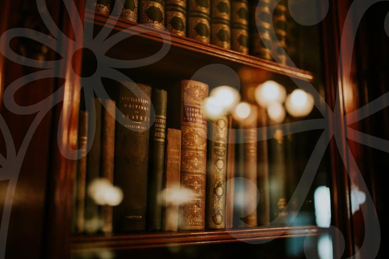 회생절차의 흐름과 핵심 포인트를 자세히 살펴보기