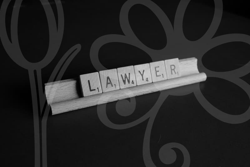 개인회생가격의 구조와 실무적 고려사항과 합리적 판단