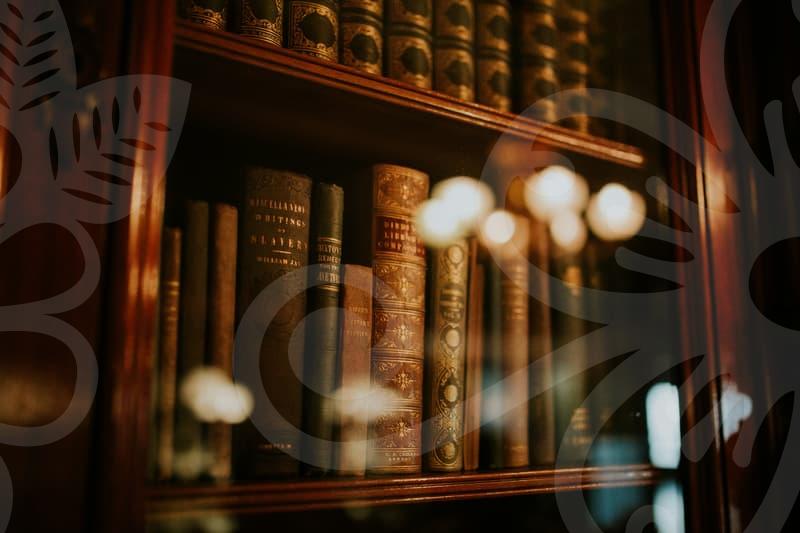 불법사채피해 회생 전략과 법적대응의 실무 노하우